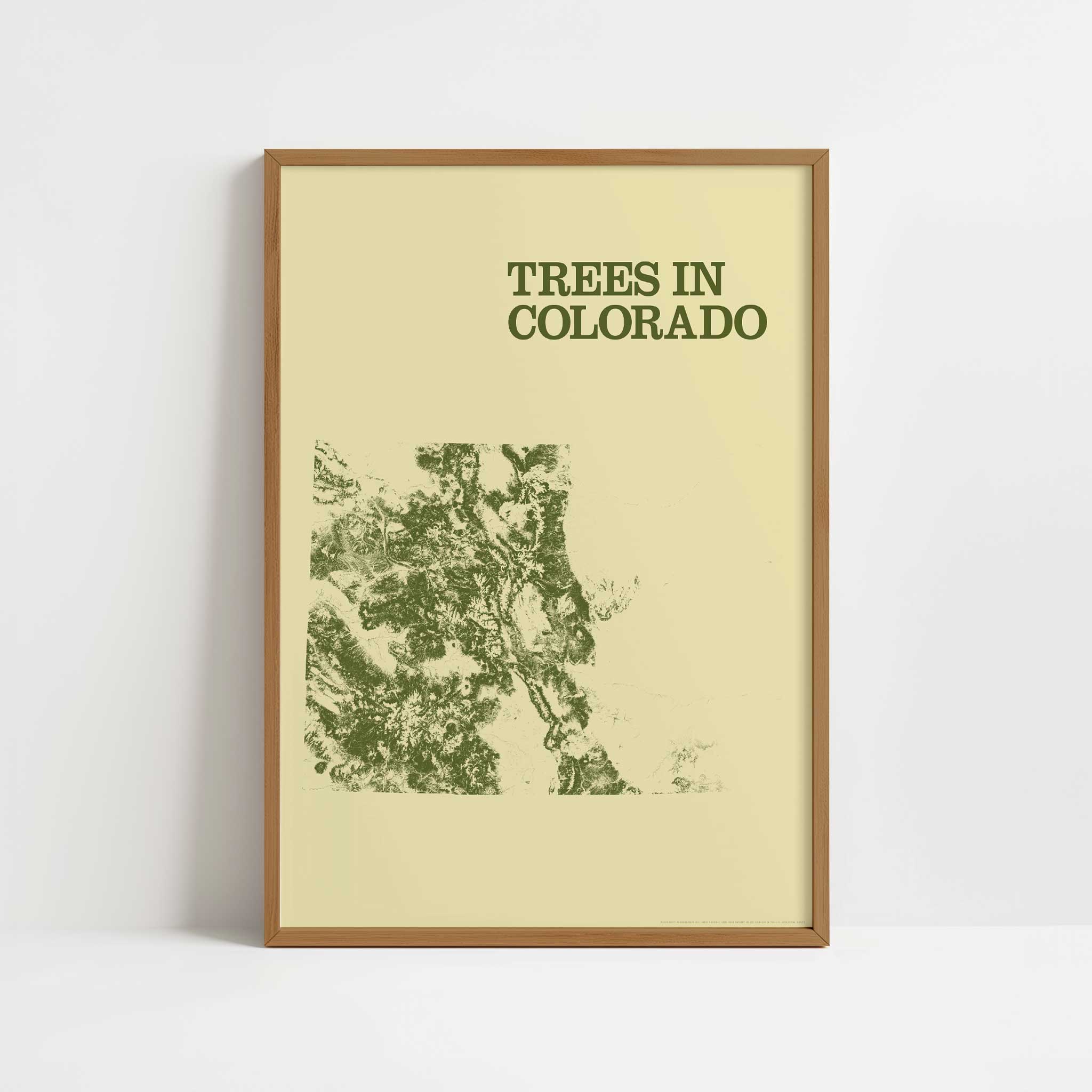 Trees in Colorado