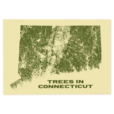 Trees in Connecticut