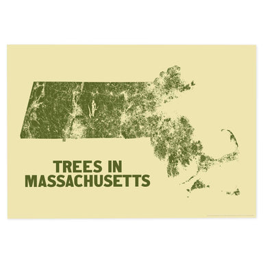 Trees in Massachusetts