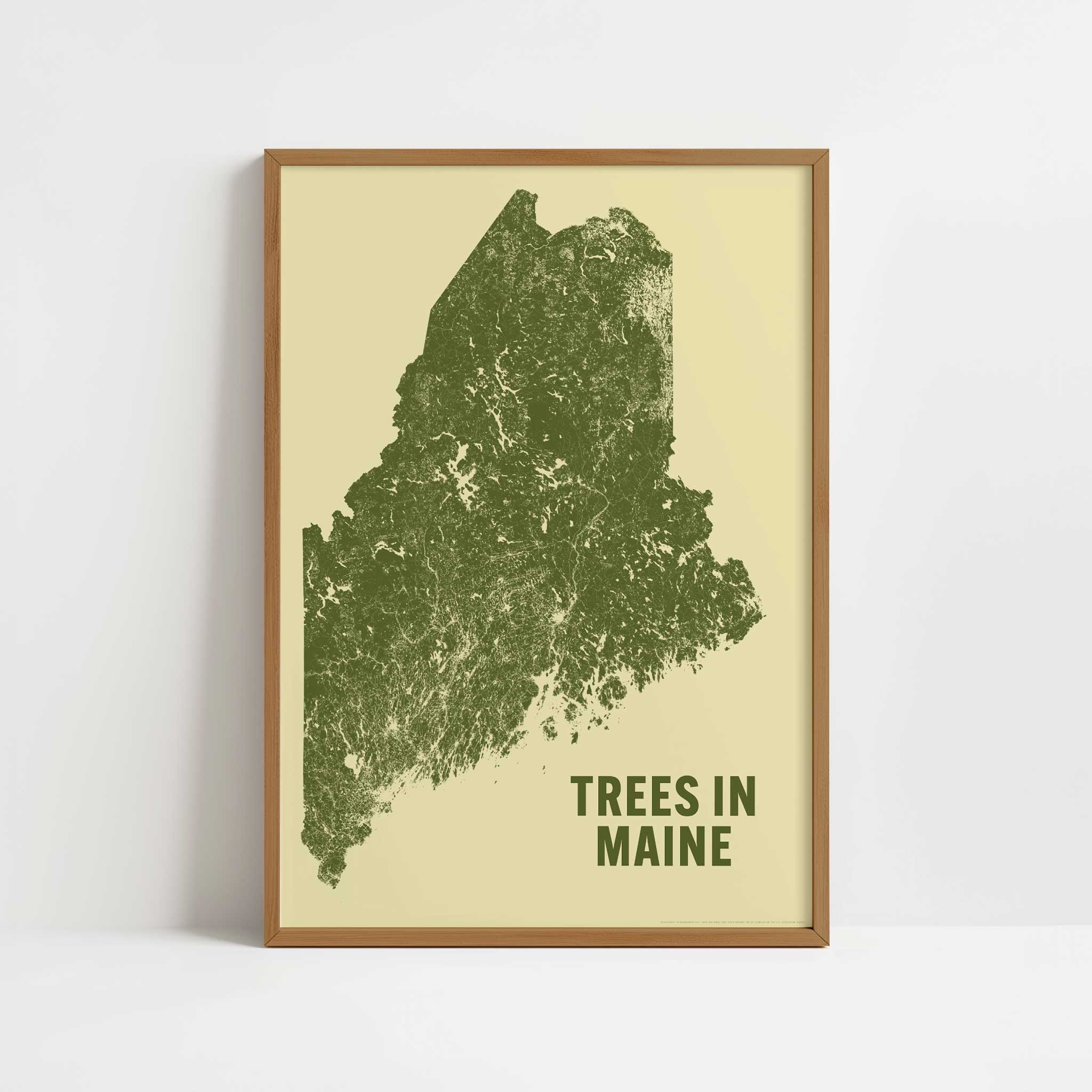 Trees in Maine