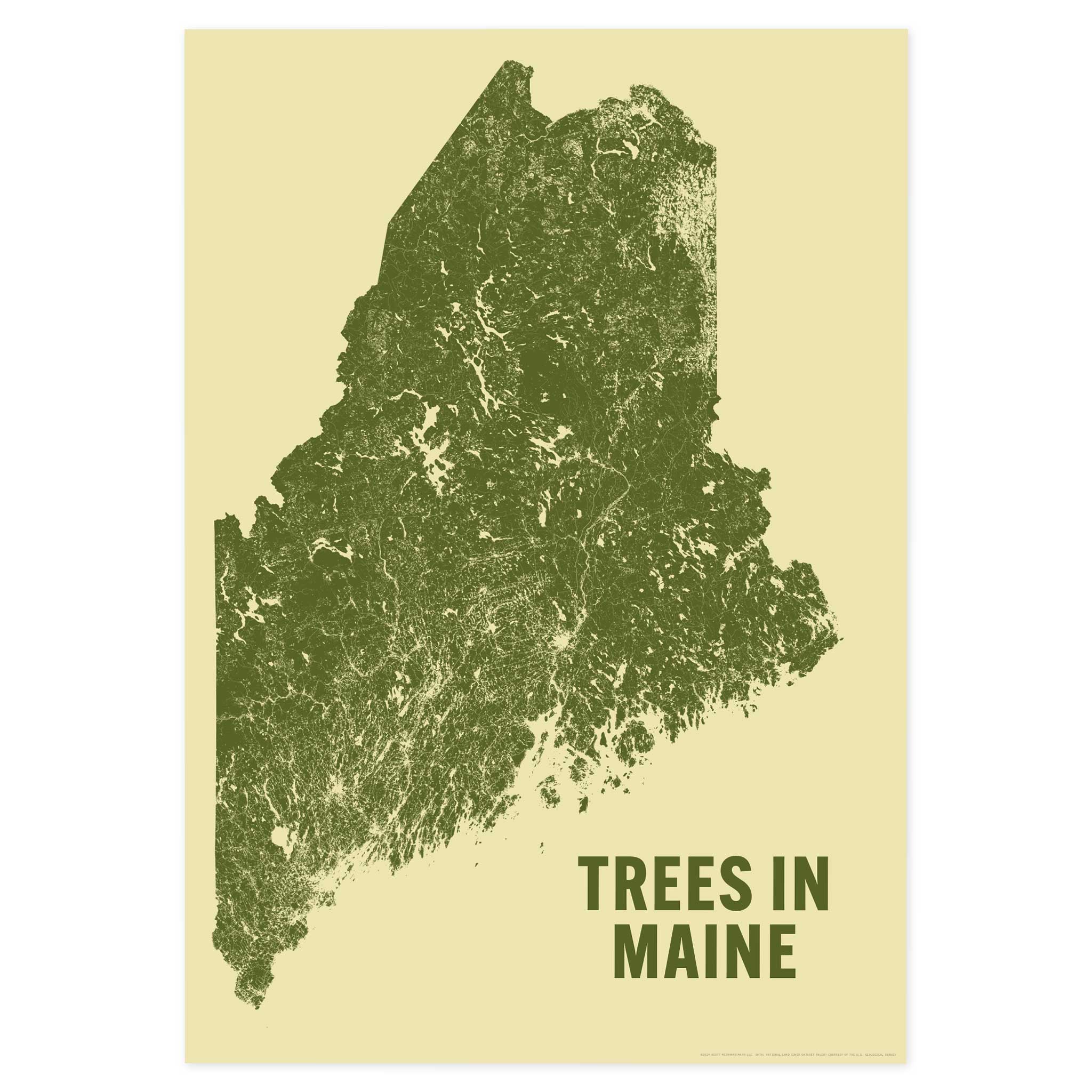 Trees in Maine