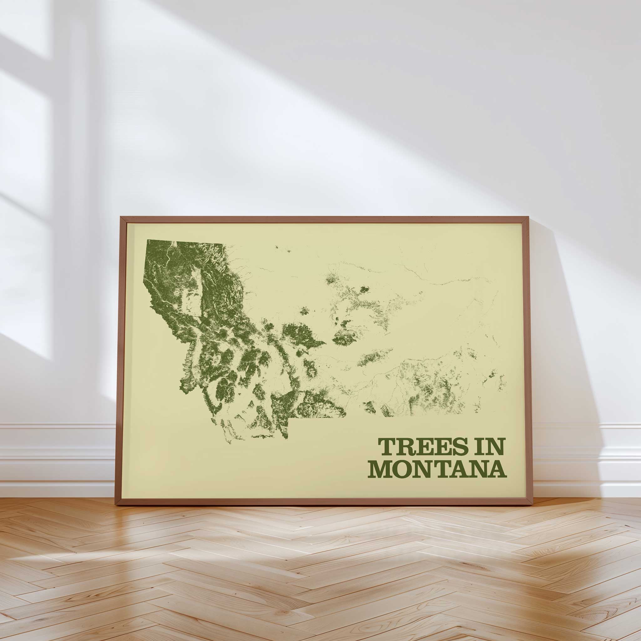 Trees in Montana