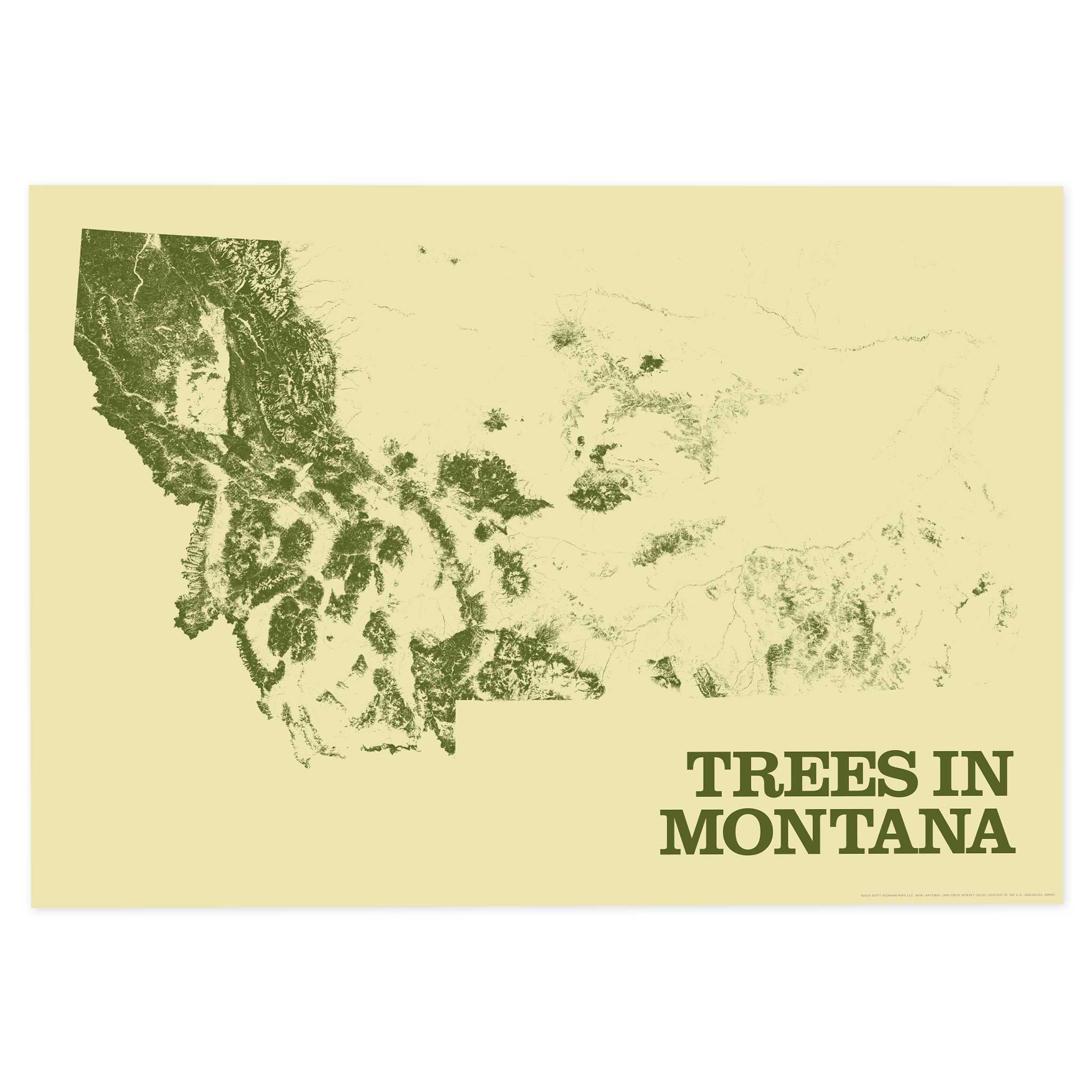 Trees in Montana