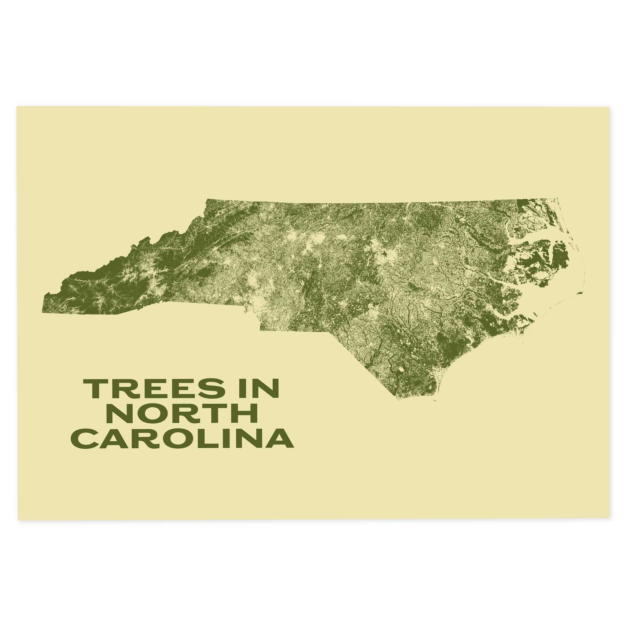 Trees in North Carolina