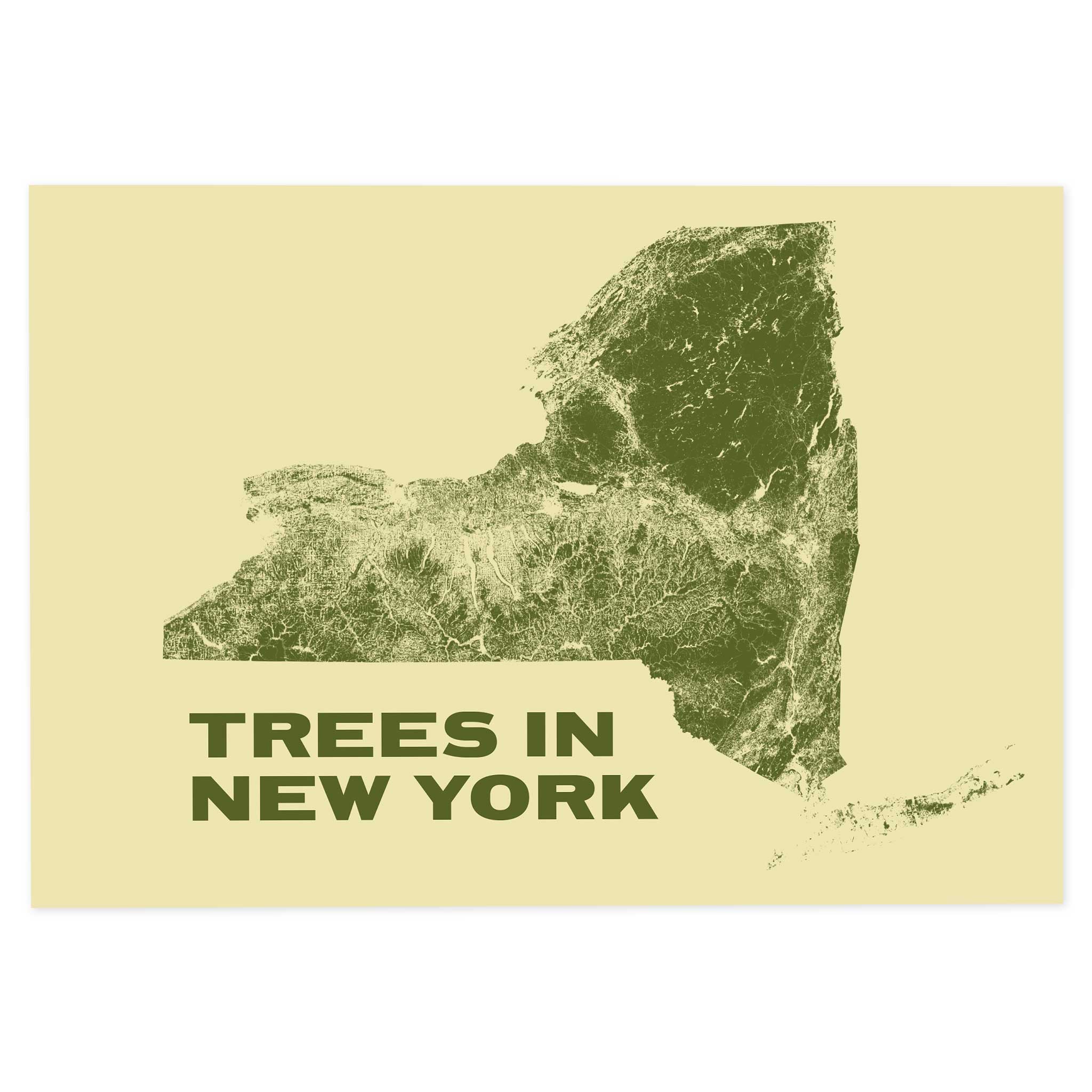 Trees in New York