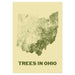 Trees in Ohio