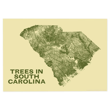 Trees in South Carolina