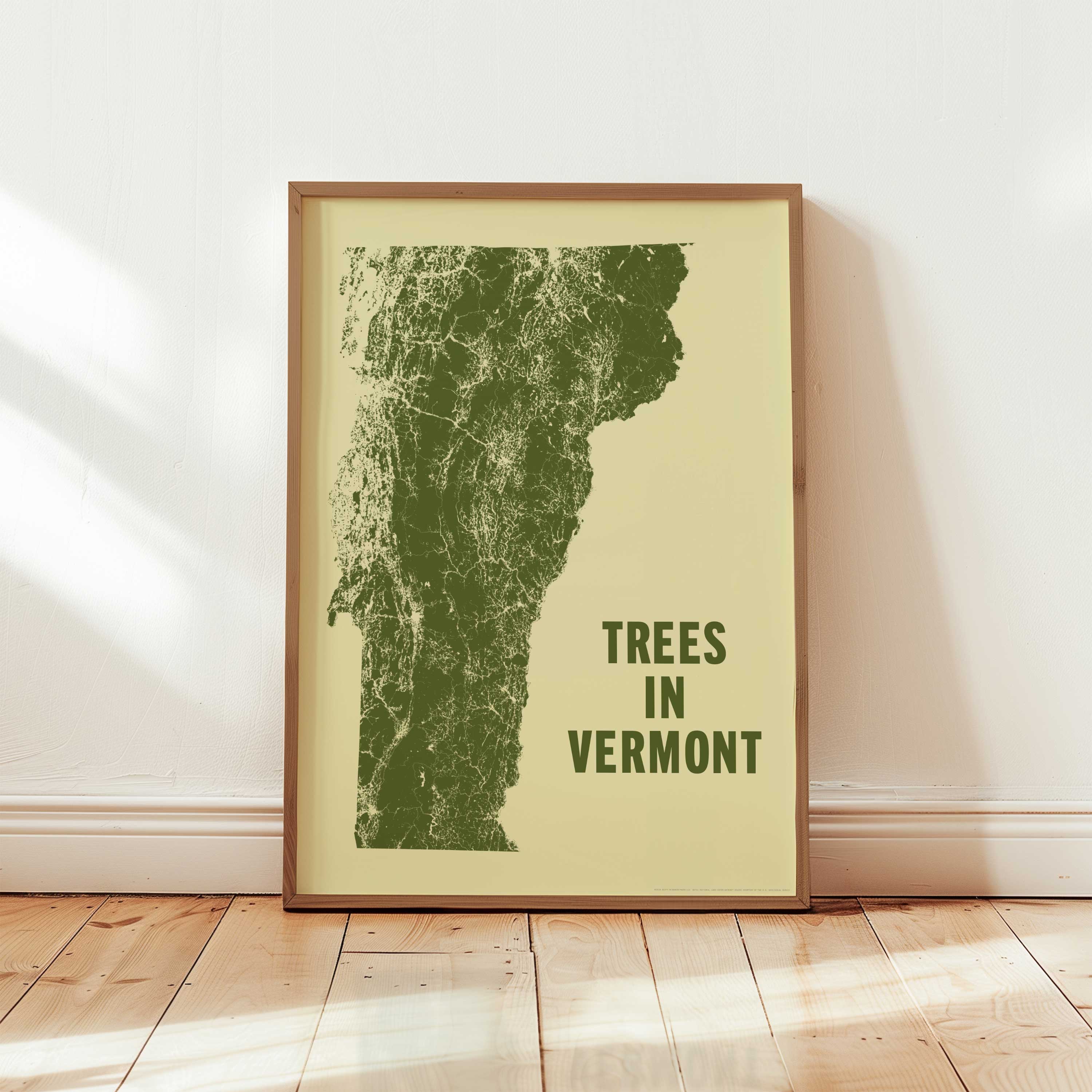 Trees in Vermont