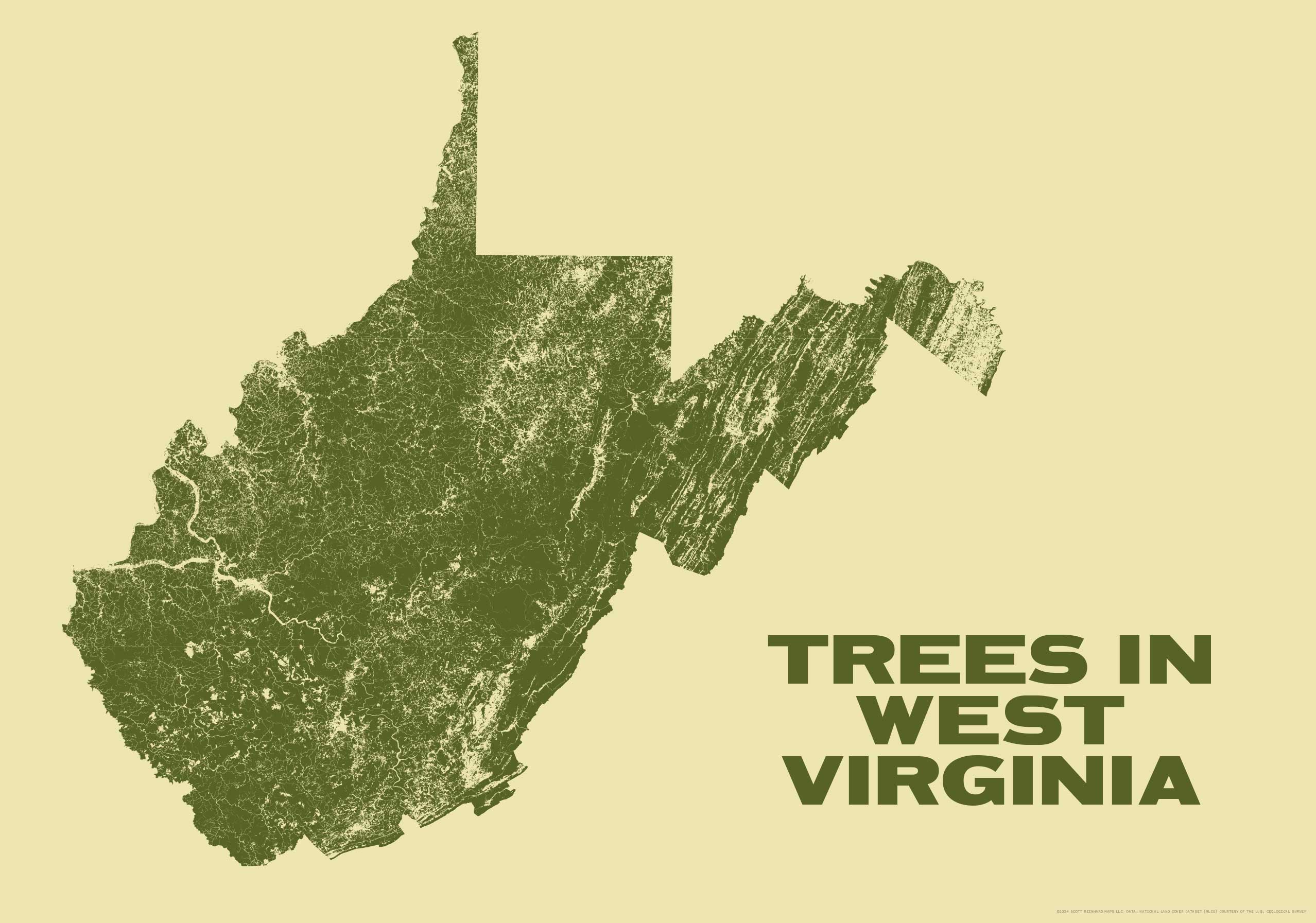 Trees in West Virginia