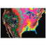 Hypercolor North America Map
